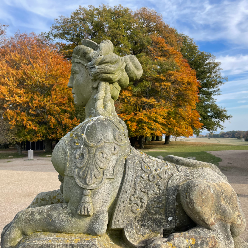 Serviceaftale have vedligeholdelse