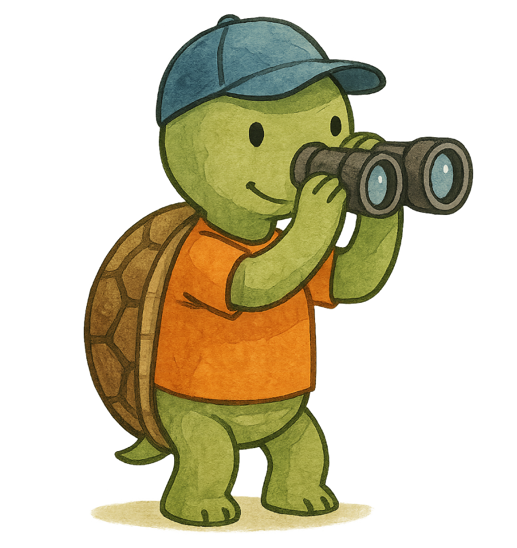 Oversigt alle services