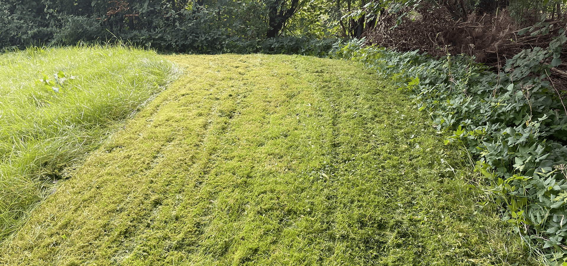 Differentieret græsslåning