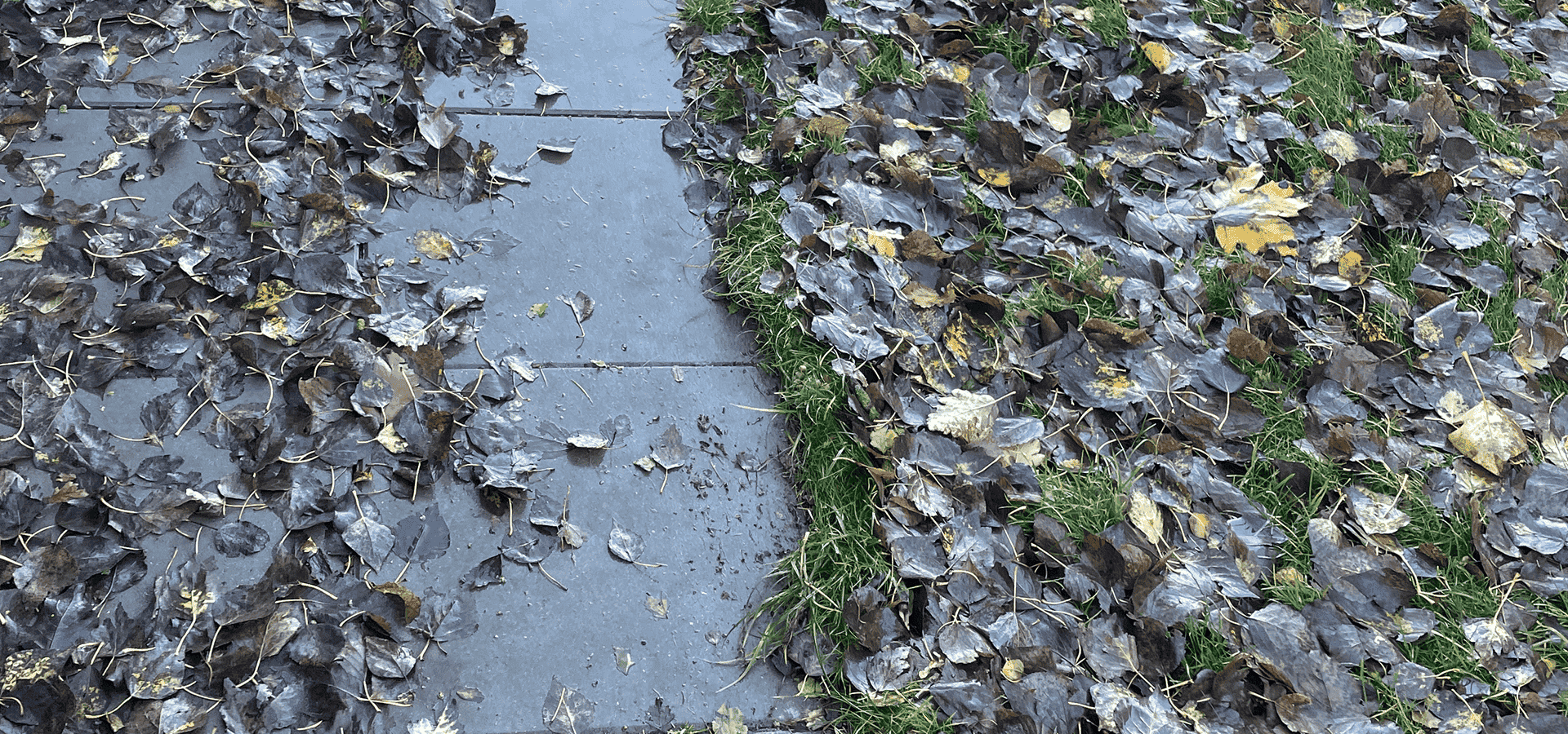 Affaldsblade, samle blade, feje fortorv